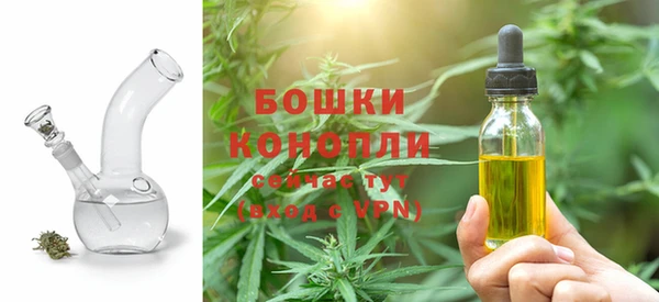 молекула духа Волосово