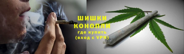 2c-b Туринск