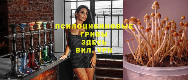 прущие крисы Вязники