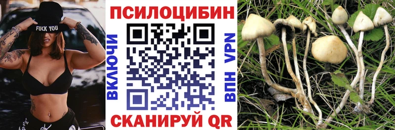 Галлюциногенные грибы Magic Shrooms  Купить  Саяногорск 